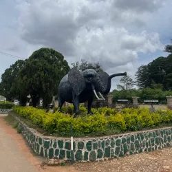 Jos Wildlife Park - Jos