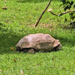 Jos Wildlife Park - Jos