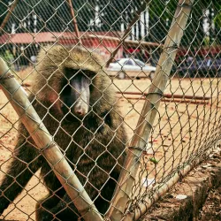 Jos Wildlife Park - Jos