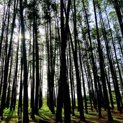 Jos Wildlife Park - Jos