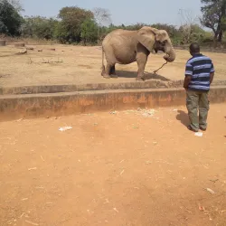 Jos Wildlife Park - Jos