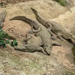 Jos Wildlife Park - Jos