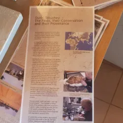 Katsina Museum - Katsina