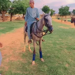 Katsina Polo Ground - Katsina