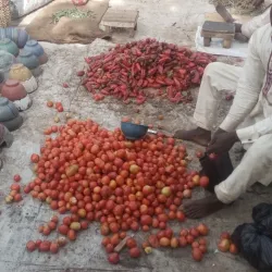 Kofar Durbi Gate - Katsina