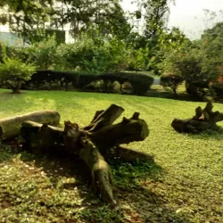 Jhalobia Recreation Park and Gardens - Lagos