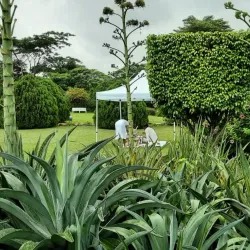 Jhalobia Recreation Park and Gardens - Lagos