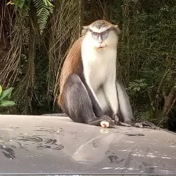 Lekki Conservation Centre - Lagos