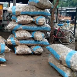 Gamboru Ngala Market - Maiduguri