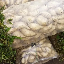 Gamboru Ngala Market - Maiduguri