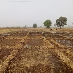 Lake Chad (near Maiduguri) - Maiduguri