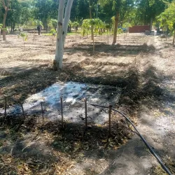 Lake Chad (near Maiduguri) - Maiduguri