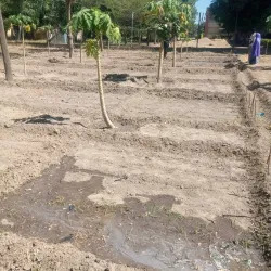 Lake Chad (near Maiduguri) - Maiduguri