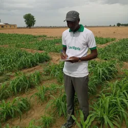 Lake Chad (near Maiduguri) - Maiduguri