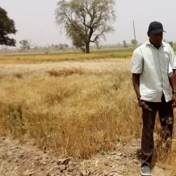 Lake Chad (near Maiduguri) - Maiduguri
