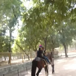 Maiduguri Zoo - Maiduguri
