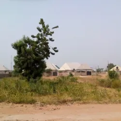 Maiduguri Zoo - Maiduguri