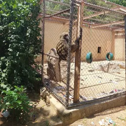 Ngomari Forest Reserve - Maiduguri