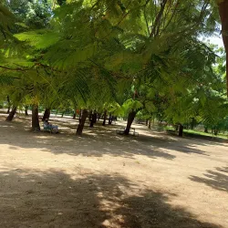Ngomari Forest Reserve - Maiduguri