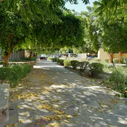 University of Maiduguri - Maiduguri