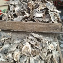 Makurdi Central Market - Makurdi