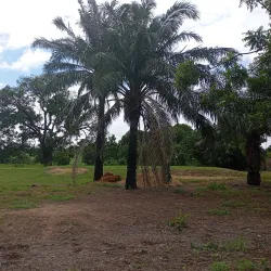 Makurdi Golf Course - Makurdi
