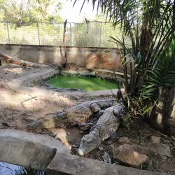 Makurdi Zoo - Makurdi
