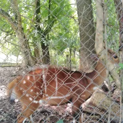 Makurdi Zoo - Makurdi