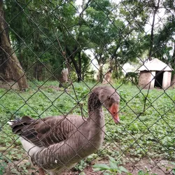 Makurdi Zoo - Makurdi