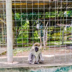 Makurdi Zoo - Makurdi