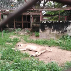 Makurdi Zoo - Makurdi