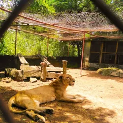 Makurdi Zoo - Makurdi