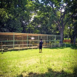 Makurdi Zoo - Makurdi