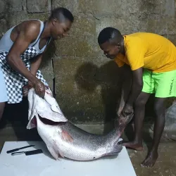 Keana Market - Nassarawa