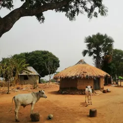 Nassarawa State Cultural Festival - Nassarawa