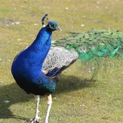 Nassarawa State Museum - Nassarawa