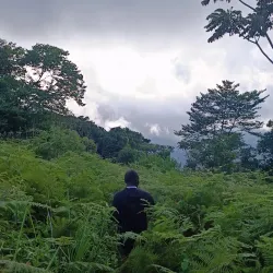 Taraba State Natural Reserves - Nguroje