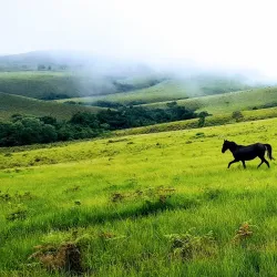 Taraba State Natural Reserves - Nguroje