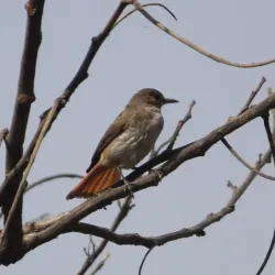 Taraba State Natural Reserves - Nguroje