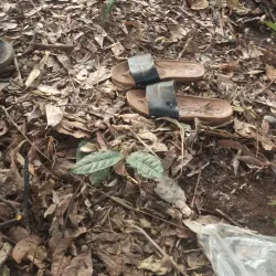 Nsukka Hills - Nsukka