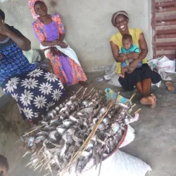 Ogbomosho Central Market - Ogbomosho