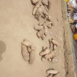 Ogbomosho Central Market - Ogbomosho