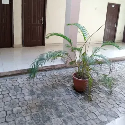 Ogbomosho Museum - Ogbomosho