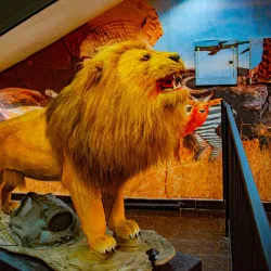 Owerri Amusement Park - Owerri