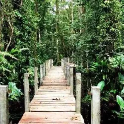 Bonny Island - Port Harcourt