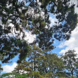 Isaac Boro Park - Port Harcourt