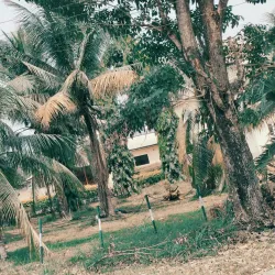 National Root Crops Research Institute - Umuahia