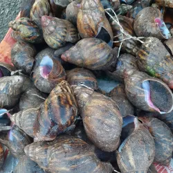 Umuahia Central Market - Umuahia