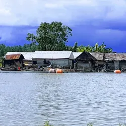 Nembe Creek Mangrove Forest - Yenagoa