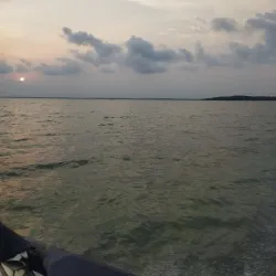 Nembe Creek Mangrove Forest - Yenagoa